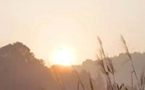 簡(jiǎn)短個(gè)性早安祝福語(yǔ)110句精選