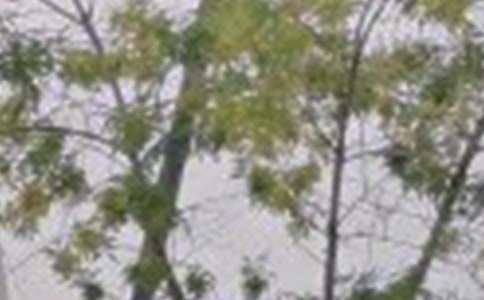 推薦勵志早安祝福語大全(精選195句)