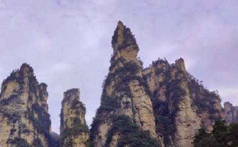 ���Ϗ��ҽ猧���~