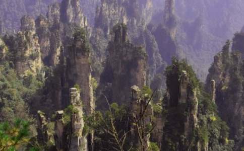 ���ҽ��P�˹ųǌ�(d��o)���~