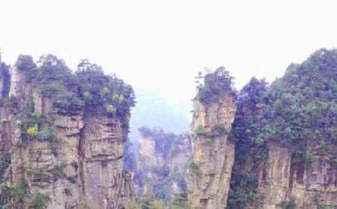 ���ҽ猧(d��o)���~15ƪ