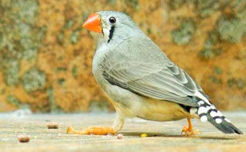 �����B�x��м��\15ƪ