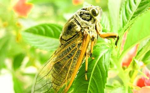 ׽֪������(��15ƪ)