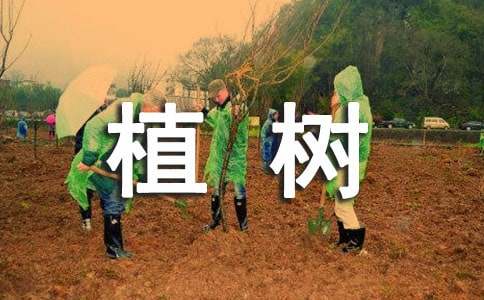 植樹(shù)造林保護(hù)環(huán)境建議書(shū)5篇