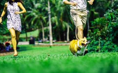 ����������ĩ�S�P