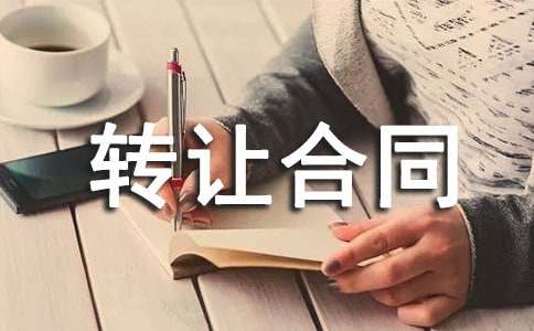 有關(guān)宅基地轉(zhuǎn)讓合同4篇