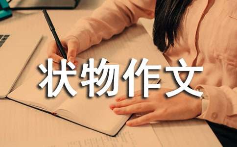 �����x��������������ƪ