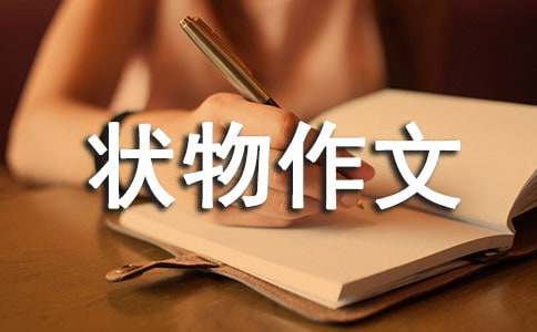 【實用】寫狀物作文十篇