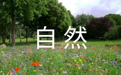 �аࡶ��Ȼ�ǡ��̰�