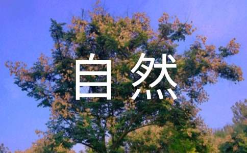 ����Ʒ����Ȼ����600��8ƪ