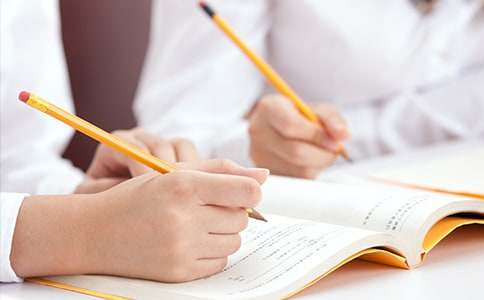 精選小雞寫(xiě)作文合集7篇