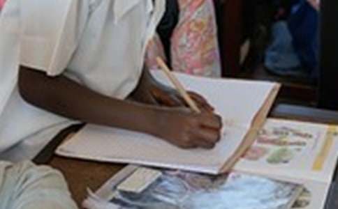 【熱門】小雞寫作文匯總七篇