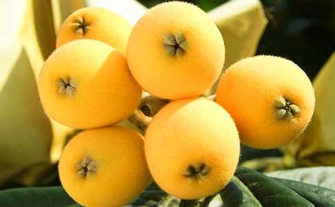 ժ��������15ƪ����(sh��)�á�