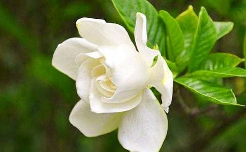 ��ɫ�d�ӻ��Ļ��Z(y��)Ԣ���B-�r���Y�x