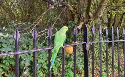 ��Ƥ�W�^��(d��ng)������