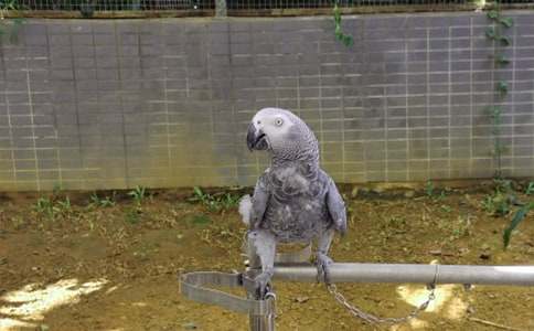 �Ҽҵ��W�^���ģ����A15ƪ��