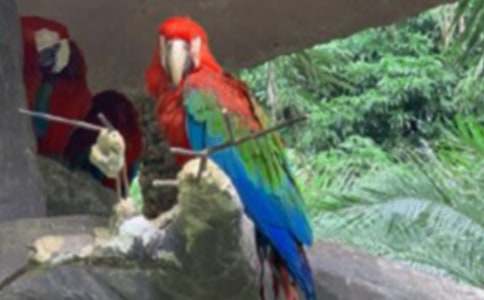 �W�^С�W(xu��)����