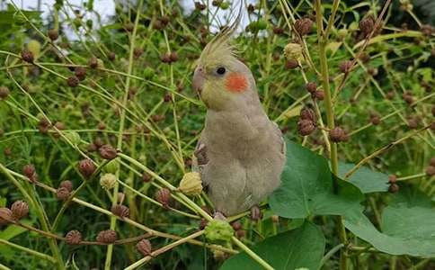 �ҵĄ��������W�^���ľ�Ʒ��15ƪ��