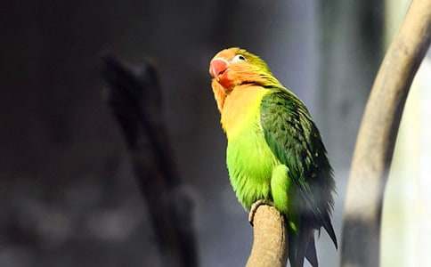 �W�^�������ģ����x15ƪ��