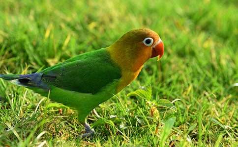 ����(j��ng)�䡿�ɐ�(��i)���W�^����15ƪ