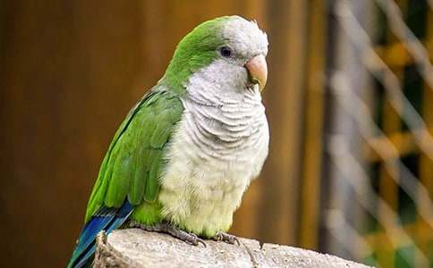 �W�^�茑��������