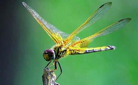 ���ѵ��w����