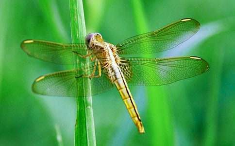 (�؂�)ץ��������