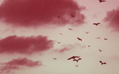 ��������_�̰��R��9ƪ