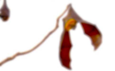 ��������_(d��)�̰��ϼ�ʮƪ