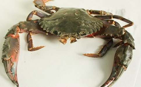 ׽�зС�W(xu��)����20ƪ