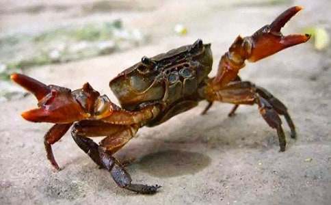 �ª���С�з�x��У����x21ƪ��