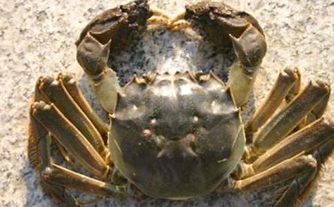 ���з�\�򡷴���Α��ӽ̰�