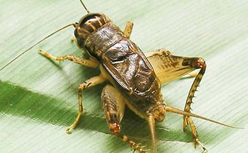 ����(sh��)�ã���߀�l(xi��ng)����