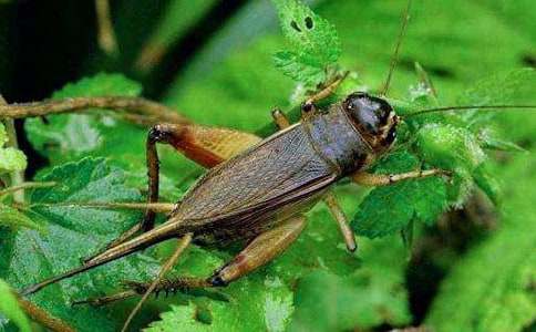 �����סլ���̰���ͨ��21ƪ��