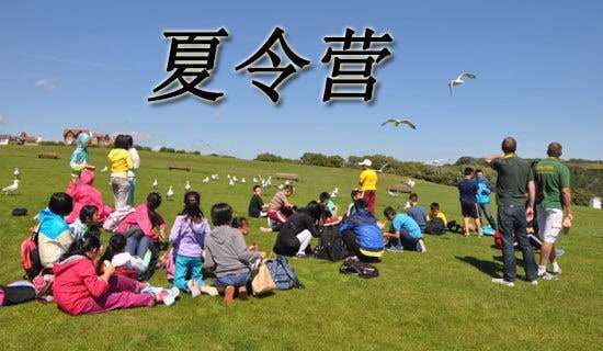 ����I(y��ng)�_(k��i)�I(y��ng)�xʽ�I(l��ng)��(d��o)�vԒ��