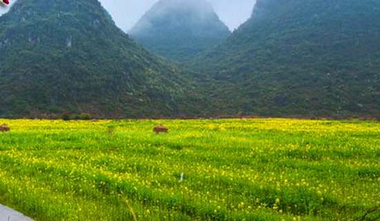 ���λ��(d��ng)�߄���ģ��